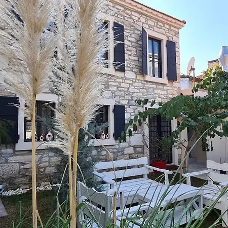 Tas Hotel 2*