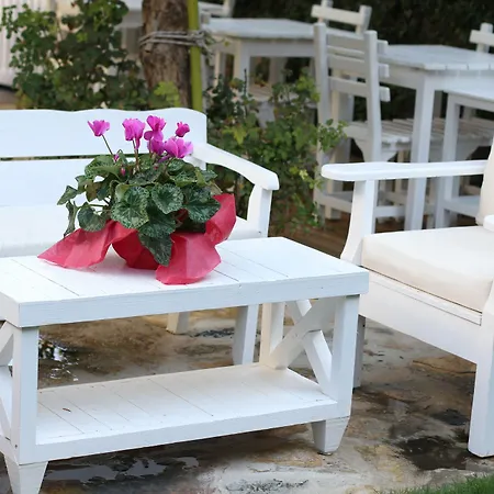 Tas Hotel Urla