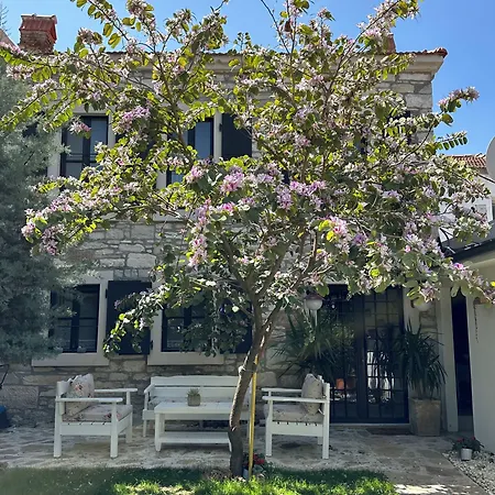 Tas Hotel